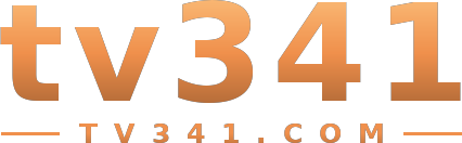 tv341 logo